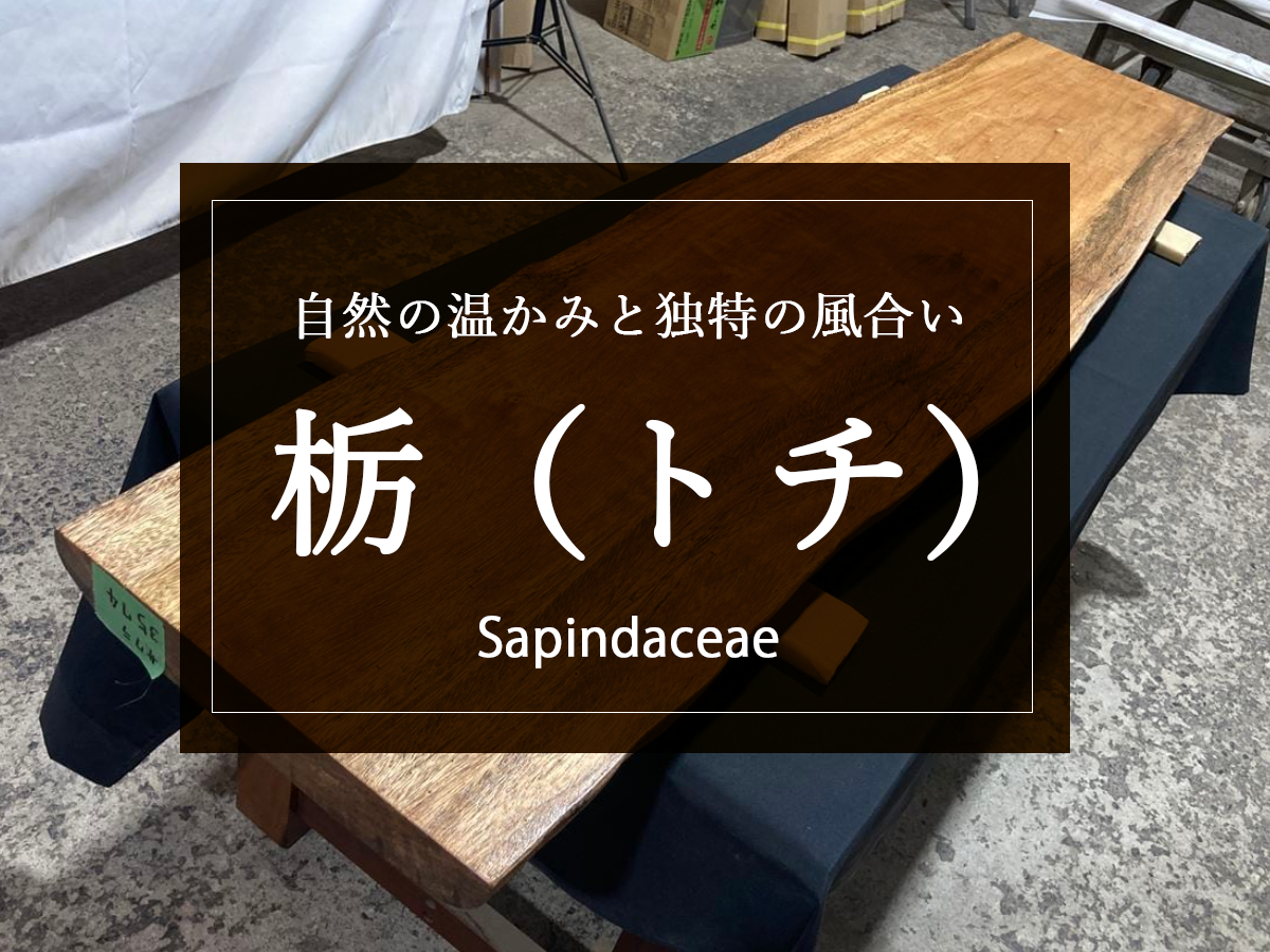 【栃（トチ）】美しい木目と耐久性。自然の魅力を伝えるトチの木テーブル