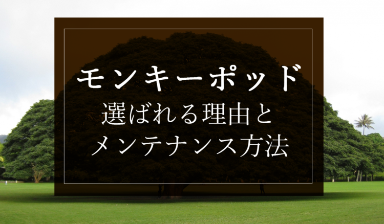 モンキーポッドのテーブルが選ばれる理由とおすすめのメンテナンス方法