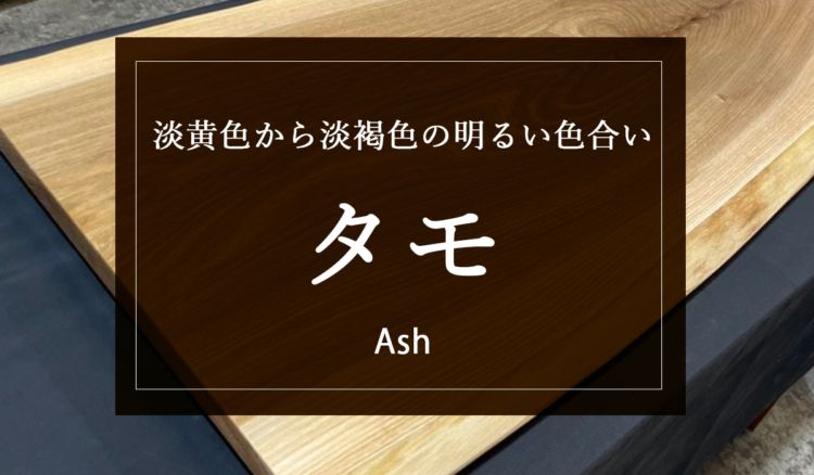 【タモ】淡黄色から淡褐色の明るい色合いでヨーロッパでも人気の木材