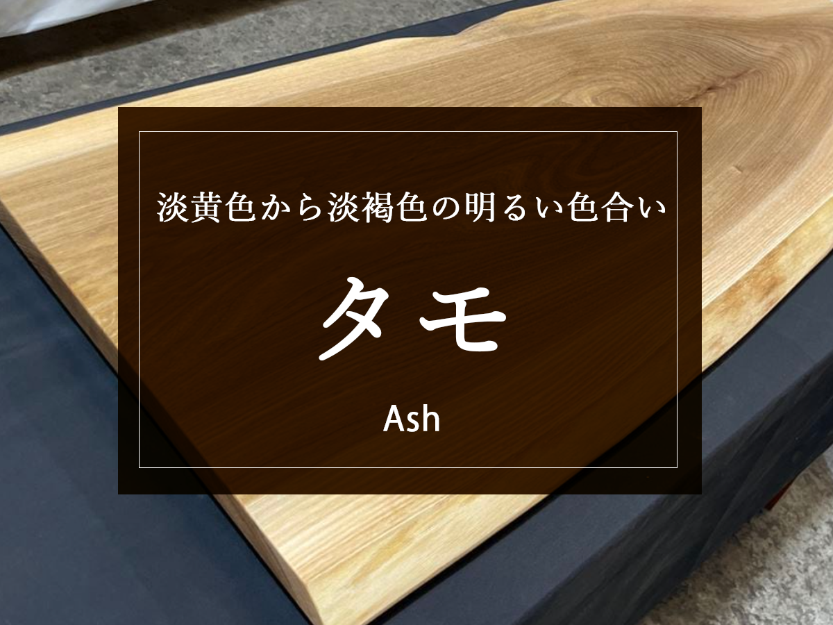 【タモ】淡黄色から淡褐色の明るい色合いでヨーロッパでも人気の木材