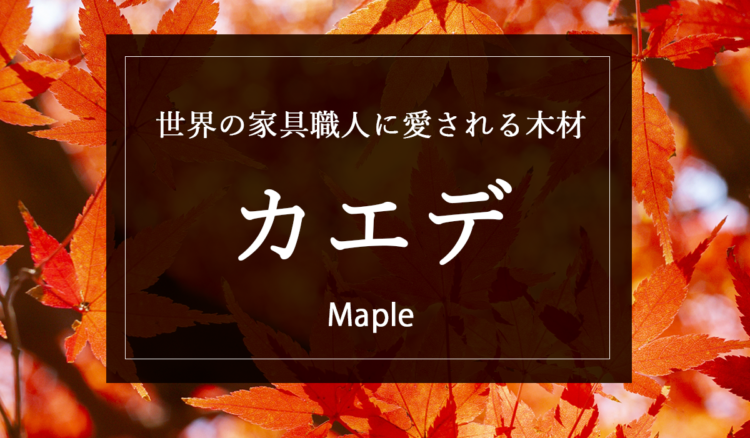 【カエデ】高い耐久性で無垢テーブルに人気。細かな木目の美しさも大きい魅力。